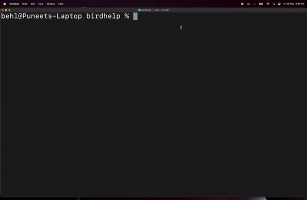 Example CLI Commands GIF